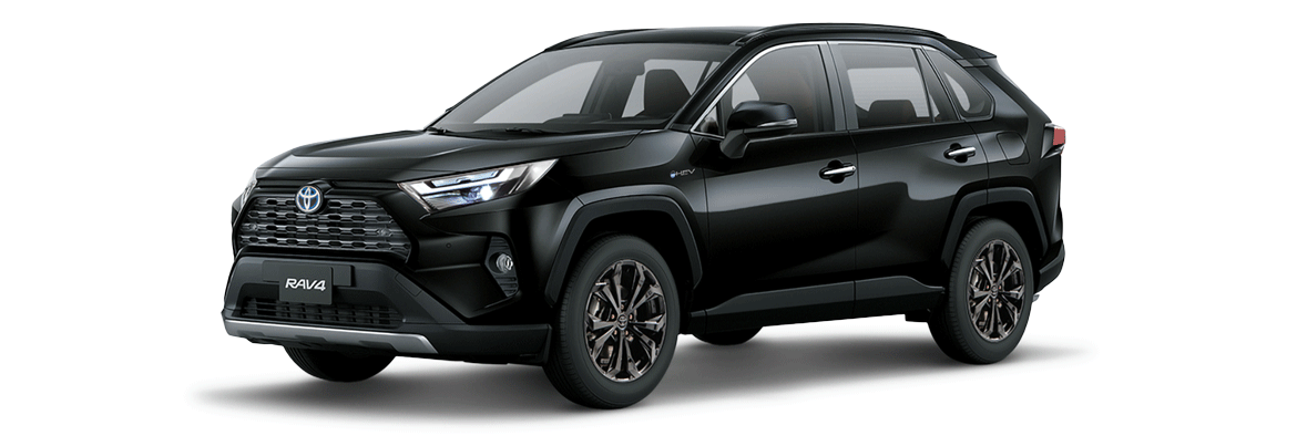 RAV4 XLE 4X4